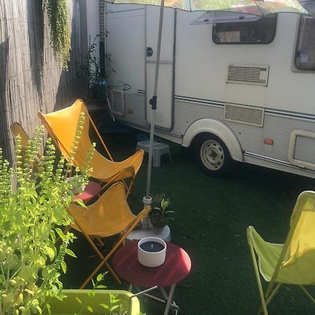 Gardencaravan Near Ghent In Green Area Экстерьер фото