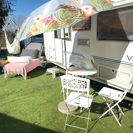 Gardencaravan Near Ghent In Green Area Экстерьер фото