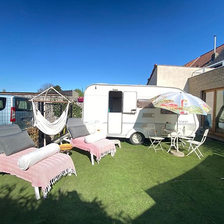 Gardencaravan Near Ghent In Green Area Экстерьер фото