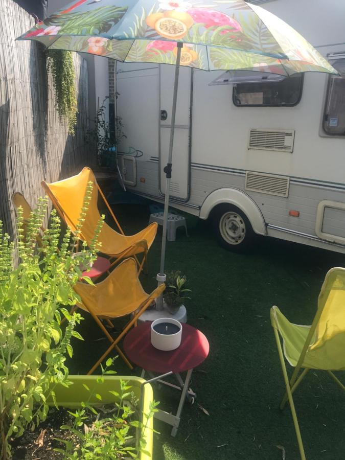 Gardencaravan Near Ghent In Green Area Экстерьер фото