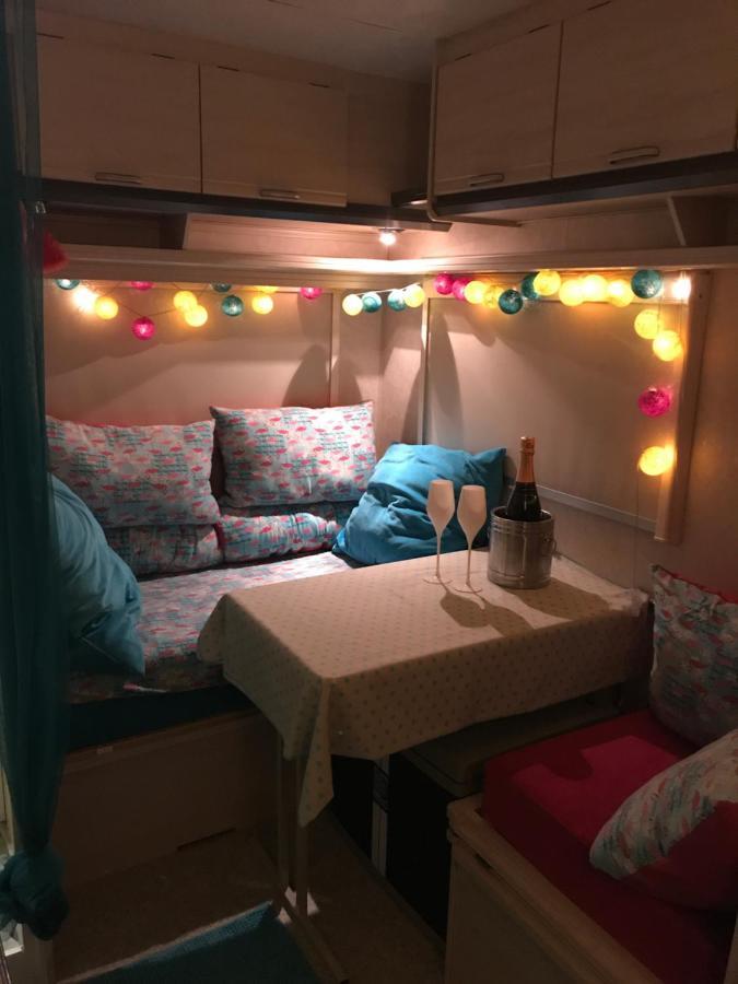Gardencaravan Near Ghent In Green Area Экстерьер фото